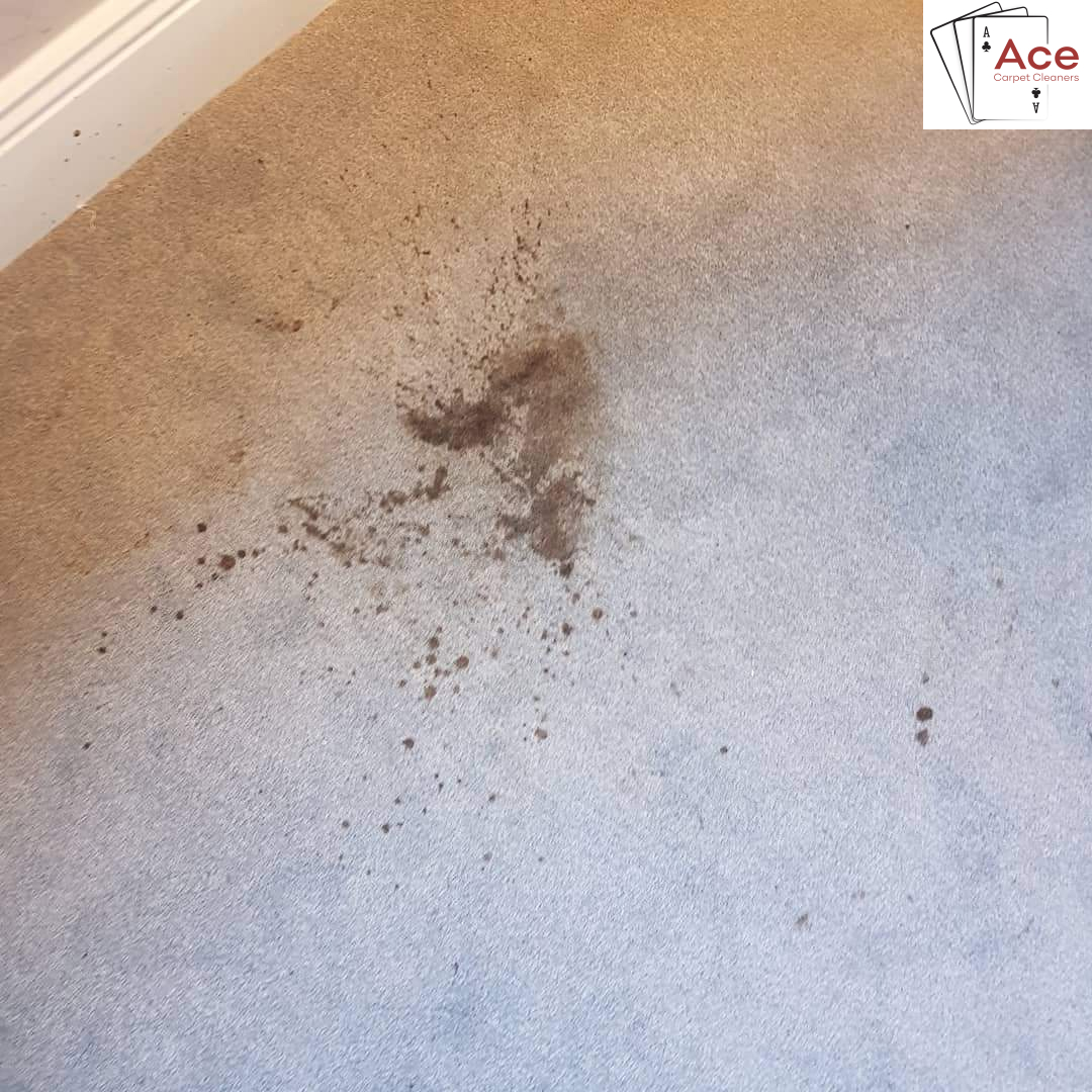 Dirty Carpet Before Cleaning Dublin