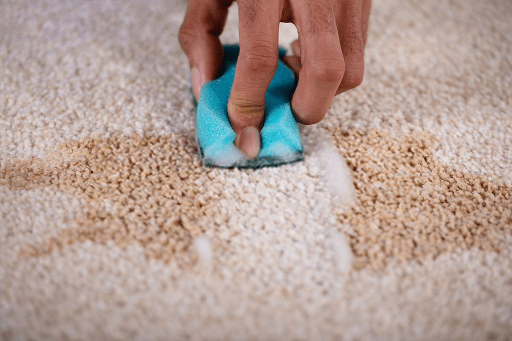 Specialist Stain Removal & Emergency Spot Extraction in Dublin