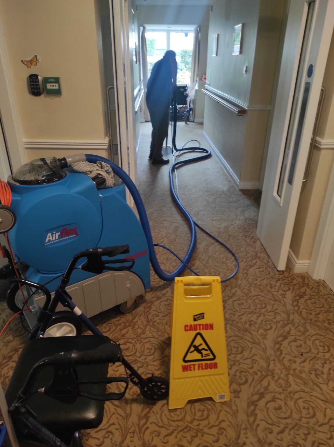 Ace Carpet Cleaners Over 350 Reviews On Google Full Services